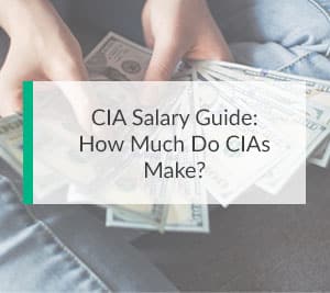 Certified Internal Auditor Salary Guide 21 Wie Viele Cias Stellen