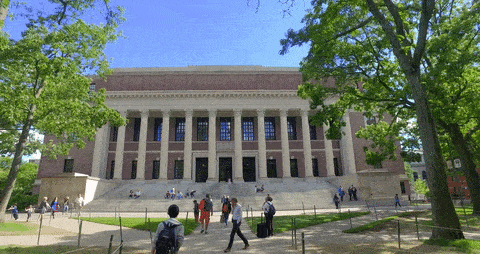Best College Admissions Consultants