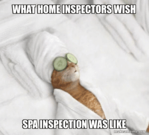 home inspectors